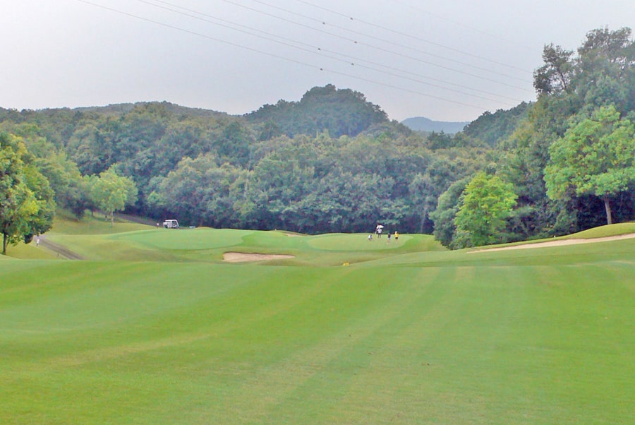 新武蔵丘ゴルフコース　INコース１３番ホール　2打目地点